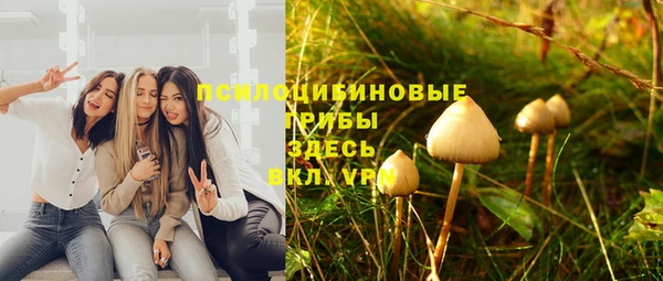 таблы Арсеньев