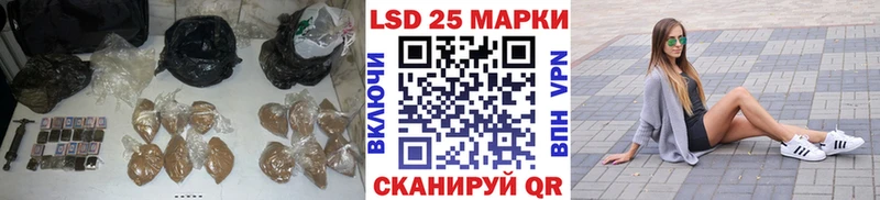 как найти закладки  Суджа  LSD-25 экстази кислота 