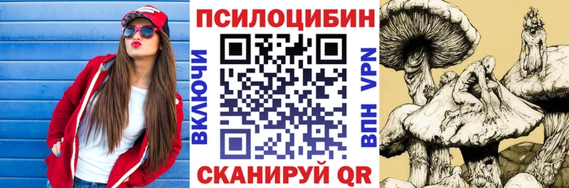 OMG онион  Суджа  Псилоцибиновые грибы мухоморы  купить наркотики цена 
