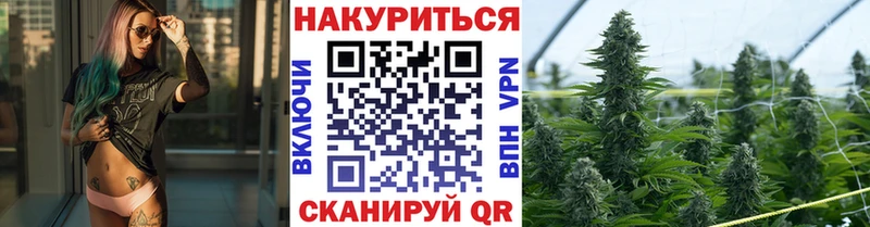 купить наркоту  Суджа  mega как войти  Канабис OG Kush 